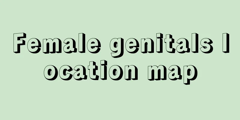 Female genitals location map
