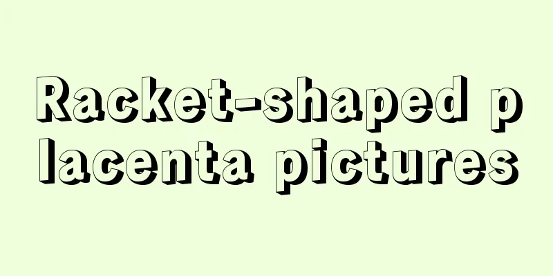 Racket-shaped placenta pictures
