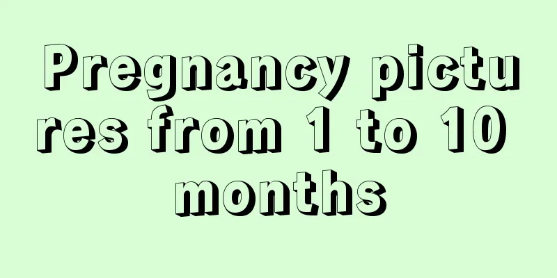 Pregnancy pictures from 1 to 10 months