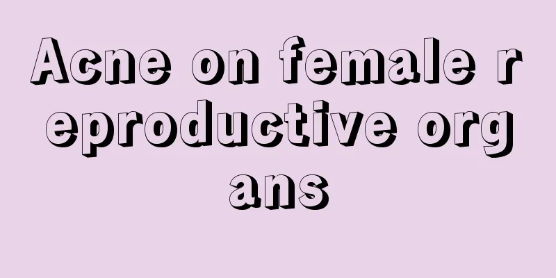 Acne on female reproductive organs