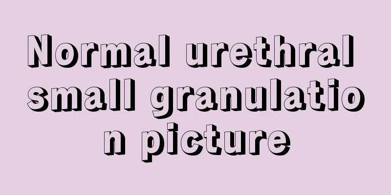 Normal urethral small granulation picture
