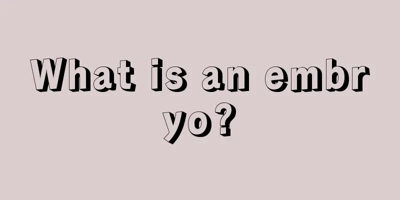 What is an embryo?