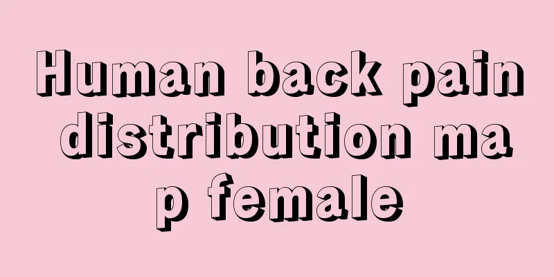 Human back pain distribution map female