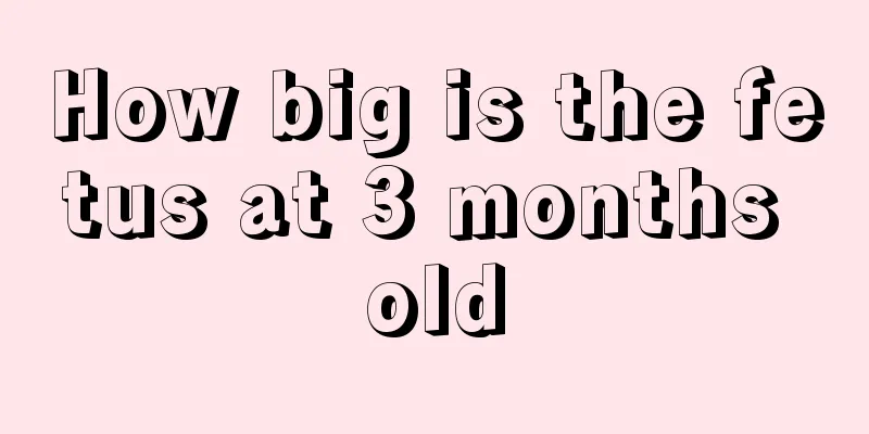 How big is the fetus at 3 months old