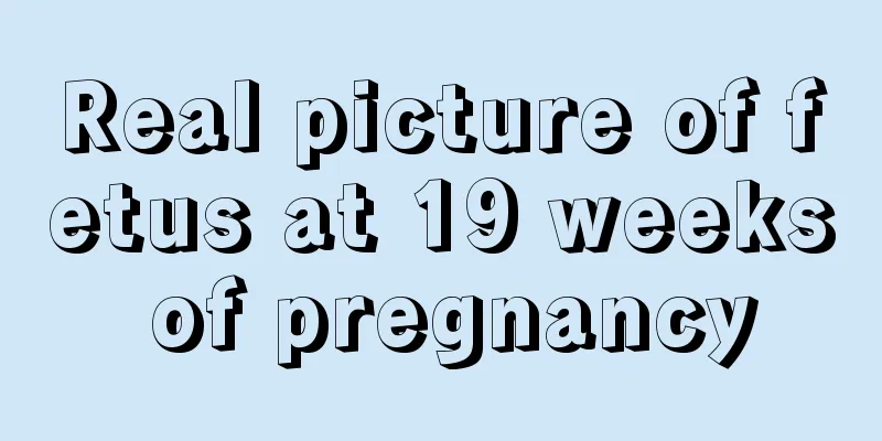 Real picture of fetus at 19 weeks of pregnancy