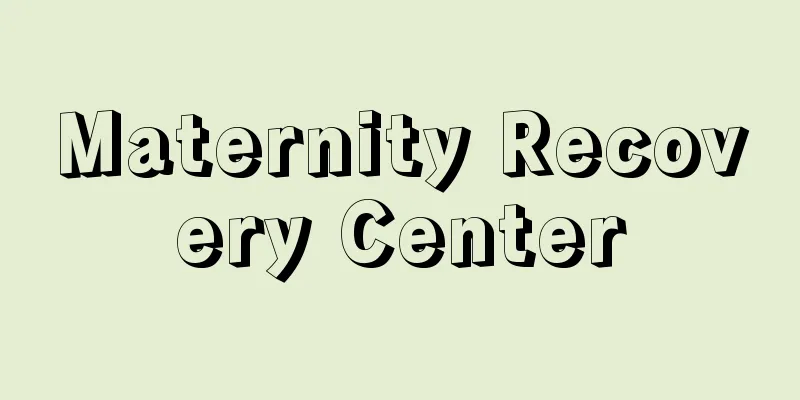 Maternity Recovery Center
