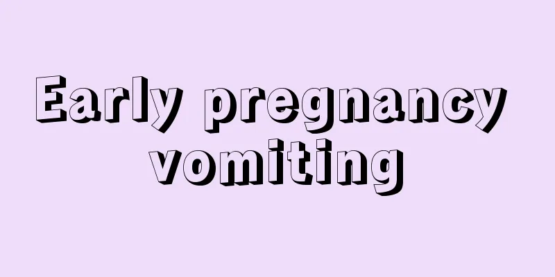 Early pregnancy vomiting