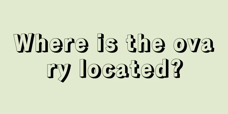 Where is the ovary located?