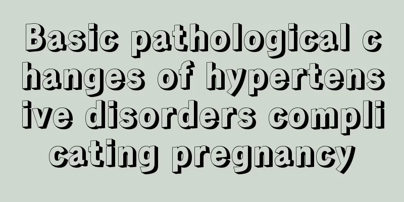 Basic pathological changes of hypertensive disorders complicating pregnancy