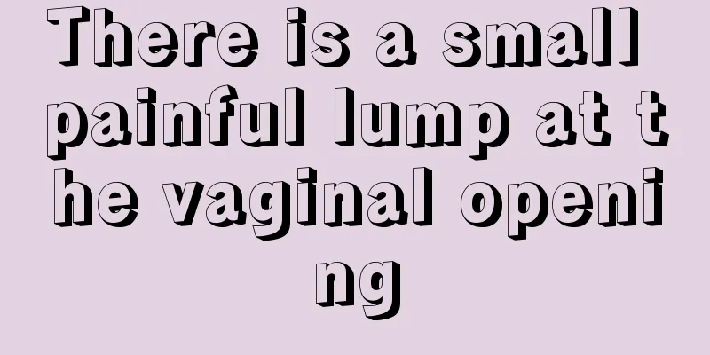 There is a small painful lump at the vaginal opening