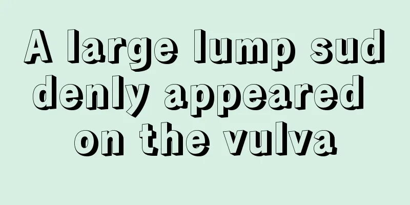 A large lump suddenly appeared on the vulva
