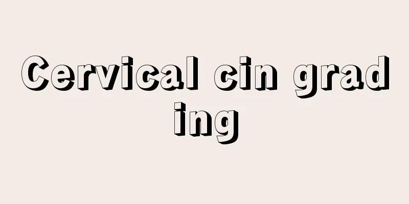 Cervical cin grading