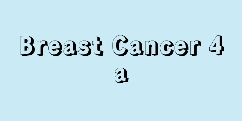 Breast Cancer 4a