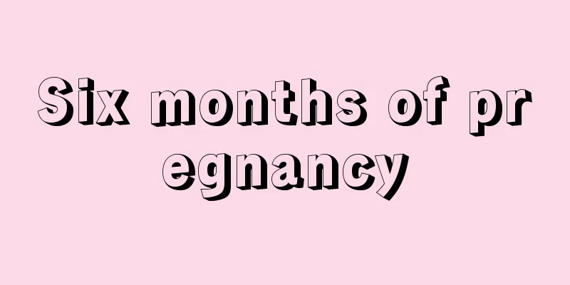 Six months of pregnancy