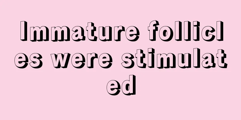 Immature follicles were stimulated