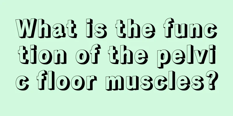 What is the function of the pelvic floor muscles?