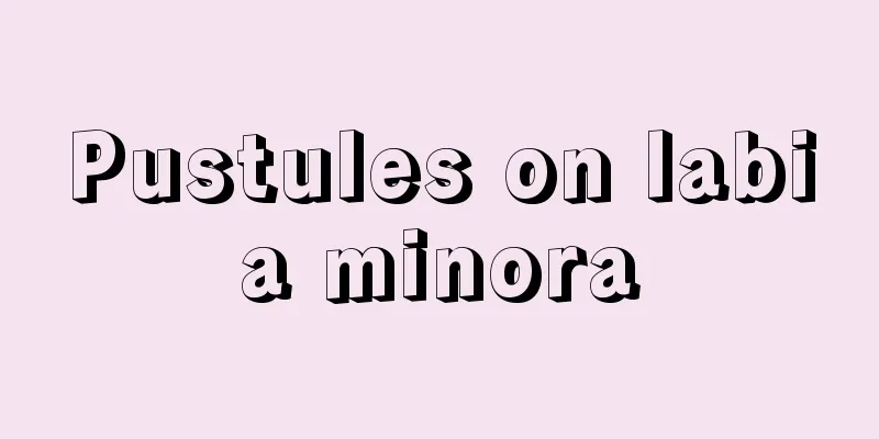 Pustules on labia minora