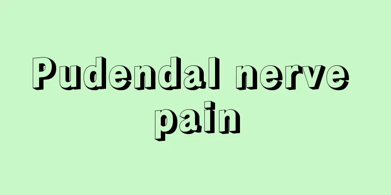Pudendal nerve pain