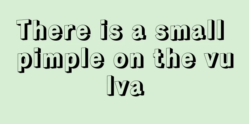 There is a small pimple on the vulva
