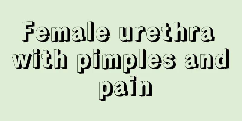 Female urethra with pimples and pain