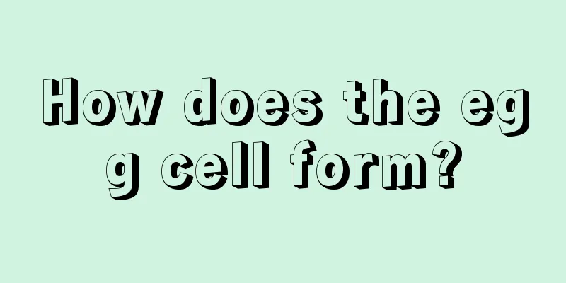 How does the egg cell form?