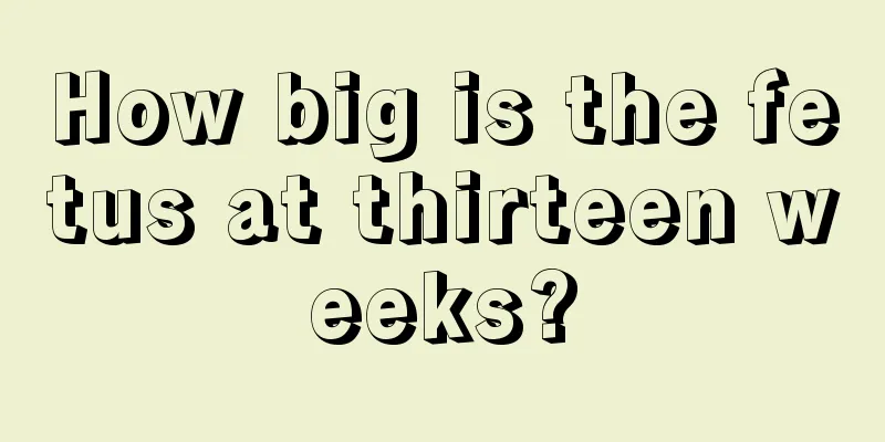 How big is the fetus at thirteen weeks?