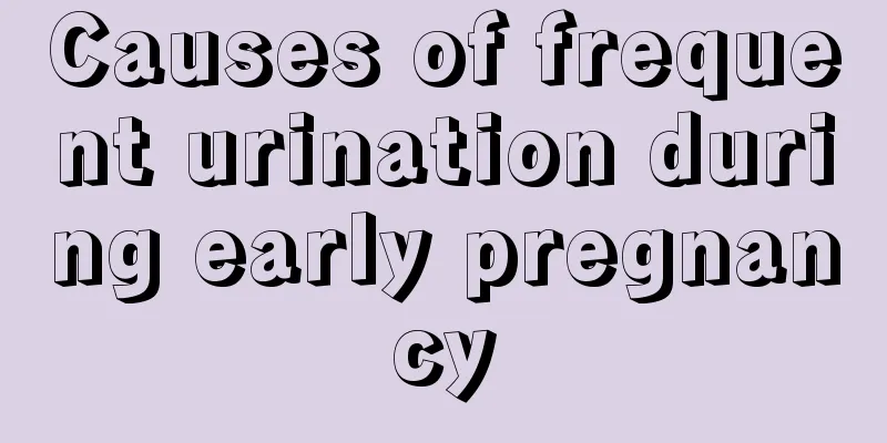 Causes of frequent urination during early pregnancy