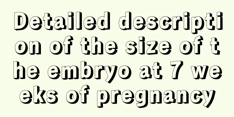 Detailed description of the size of the embryo at 7 weeks of pregnancy