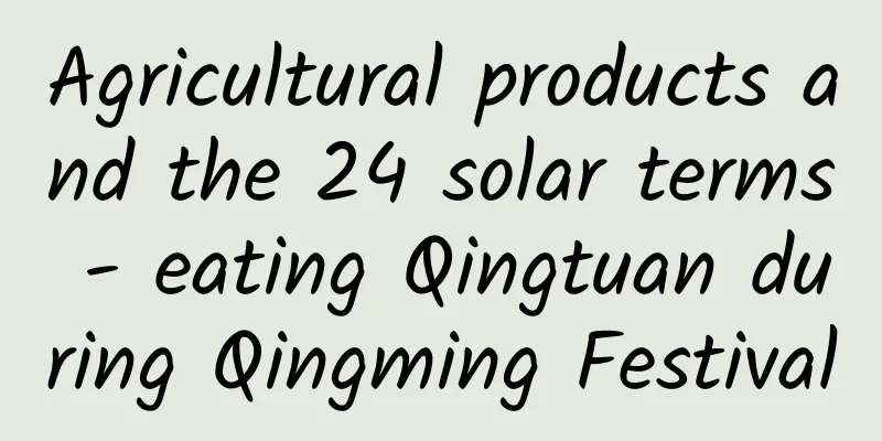 Agricultural products and the 24 solar terms - eating Qingtuan during Qingming Festival