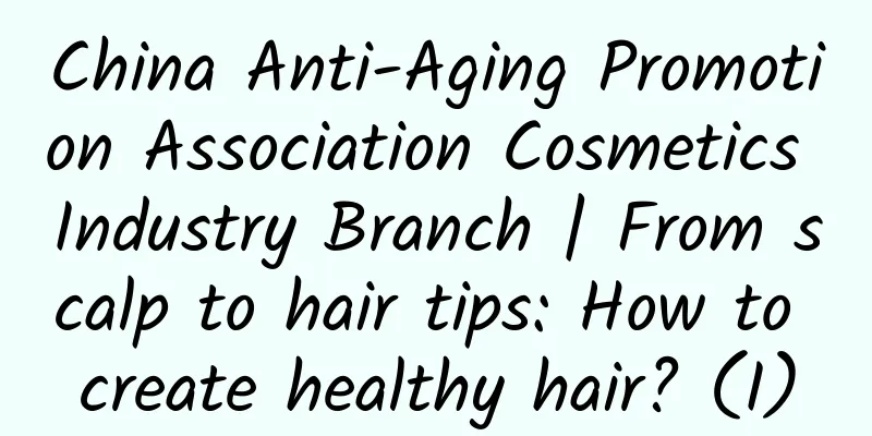 China Anti-Aging Promotion Association Cosmetics Industry Branch | From scalp to hair tips: How to create healthy hair? (I)
