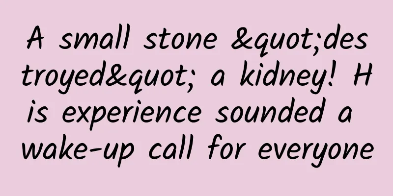A small stone "destroyed" a kidney! His experience sounded a wake-up call for everyone