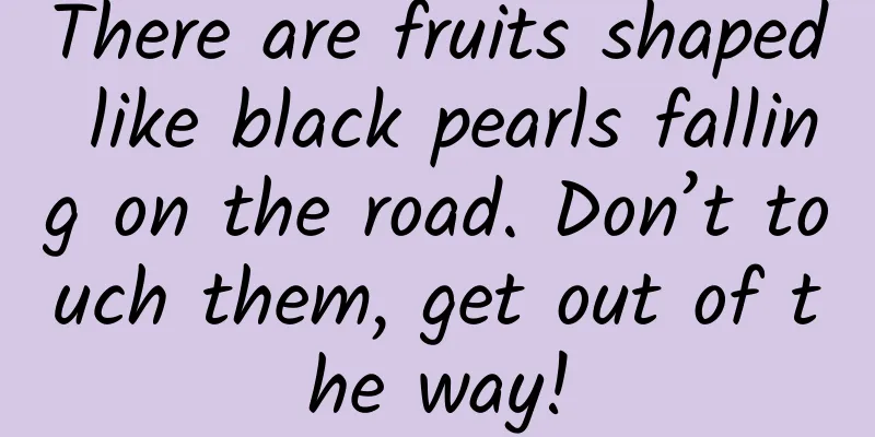 There are fruits shaped like black pearls falling on the road. Don’t touch them, get out of the way!