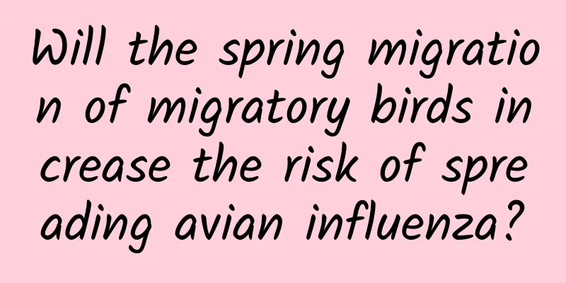 Will the spring migration of migratory birds increase the risk of spreading avian influenza?