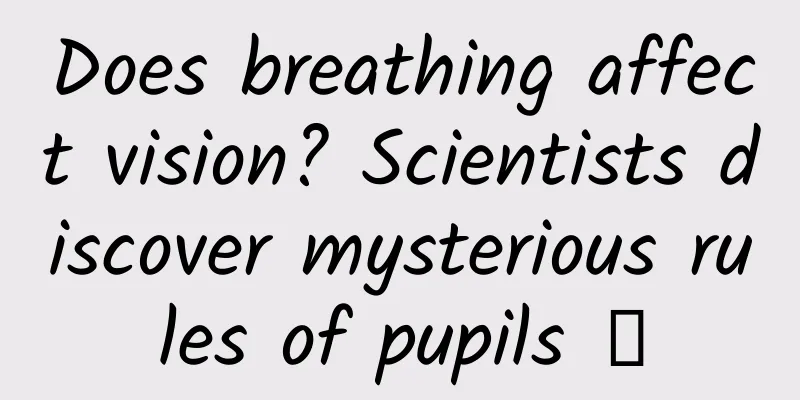 Does breathing affect vision? Scientists discover mysterious rules of pupils →