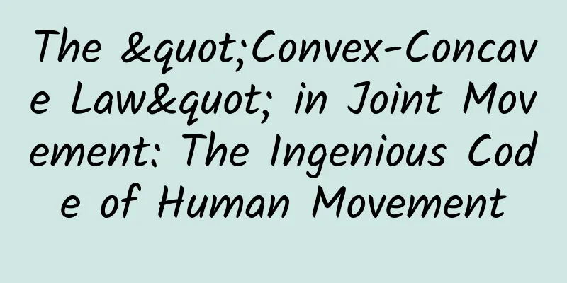 The "Convex-Concave Law" in Joint Movement: The Ingenious Code of Human Movement