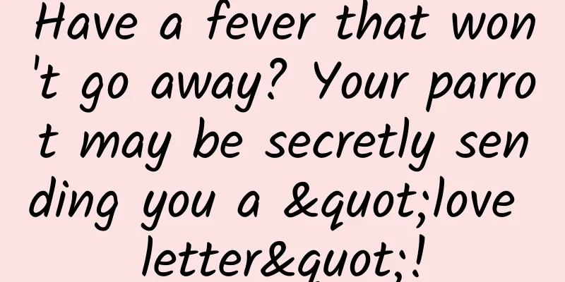 Have a fever that won't go away? Your parrot may be secretly sending you a "love letter"!