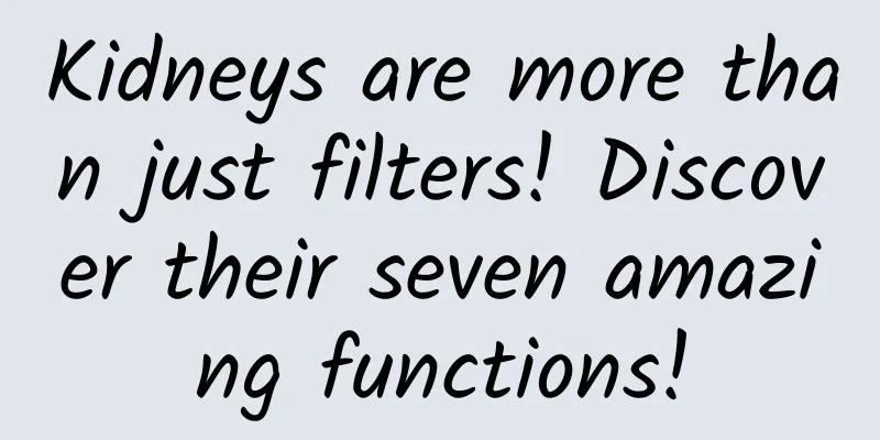 Kidneys are more than just filters! Discover their seven amazing functions!