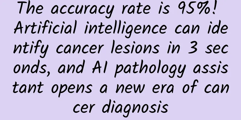 The accuracy rate is 95%! Artificial intelligence can identify cancer lesions in 3 seconds, and AI pathology assistant opens a new era of cancer diagnosis