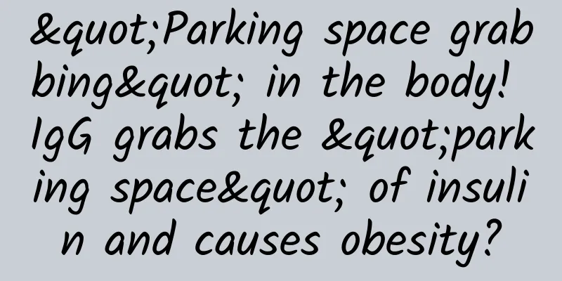 "Parking space grabbing" in the body! IgG grabs the "parking space" of insulin and causes obesity?