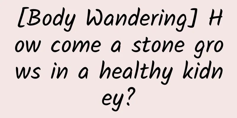 [Body Wandering] How come a stone grows in a healthy kidney?