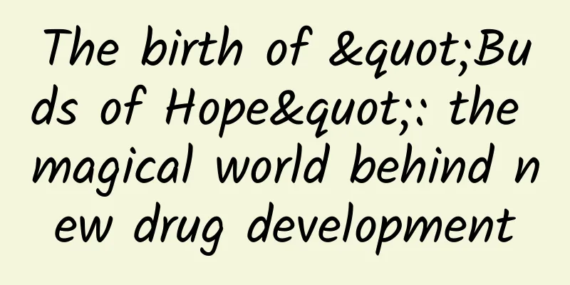 The birth of "Buds of Hope": the magical world behind new drug development