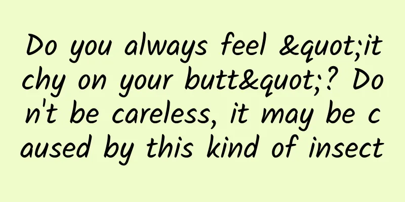 Do you always feel "itchy on your butt"? Don't be careless, it may be caused by this kind of insect