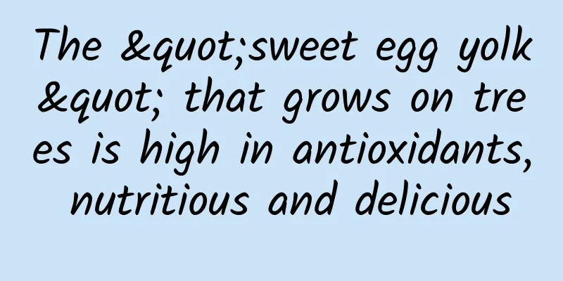 The "sweet egg yolk" that grows on trees is high in antioxidants, nutritious and delicious