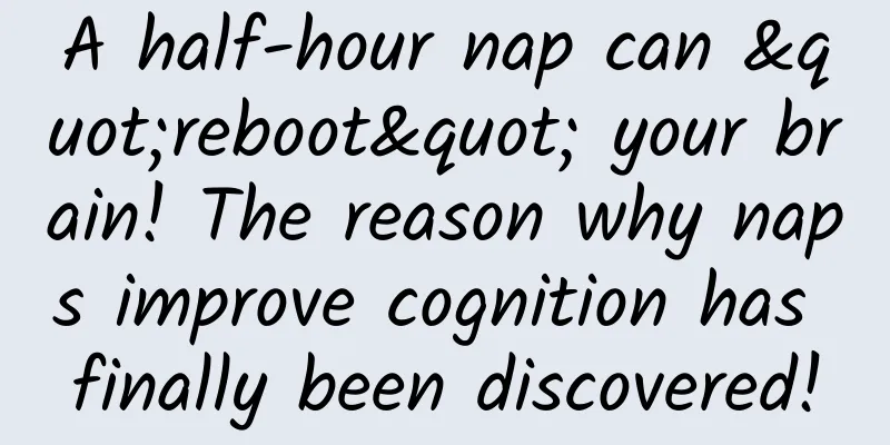 A half-hour nap can "reboot" your brain! The reason why naps improve cognition has finally been discovered!