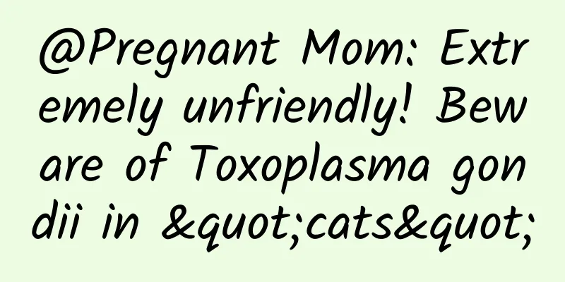 @Pregnant Mom: Extremely unfriendly! Beware of Toxoplasma gondii in "cats"