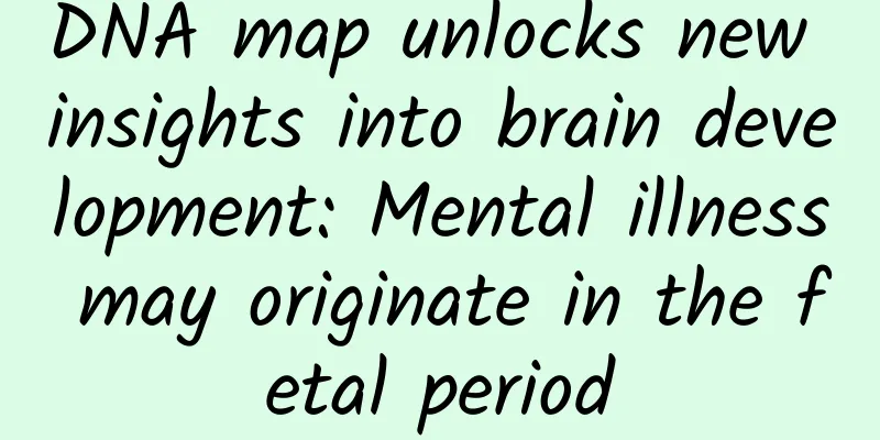 DNA map unlocks new insights into brain development: Mental illness may originate in the fetal period
