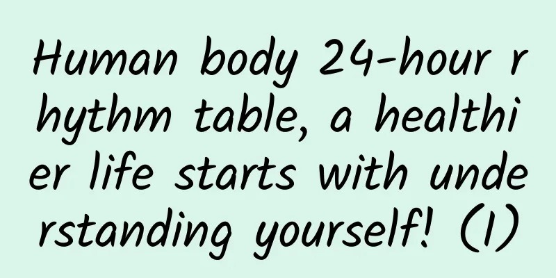 Human body 24-hour rhythm table, a healthier life starts with understanding yourself! (I)