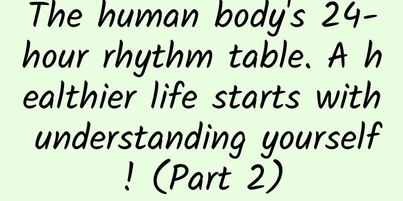 The human body's 24-hour rhythm table. A healthier life starts with understanding yourself! (Part 2)