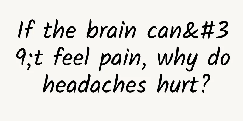 If the brain can't feel pain, why do headaches hurt?