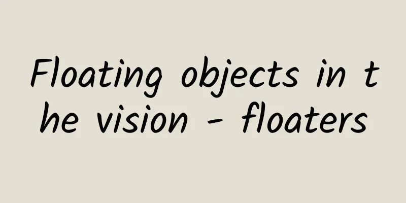 Floating objects in the vision - floaters